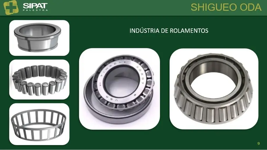 palestra sobre 
acidente em industria japao rolamentos
